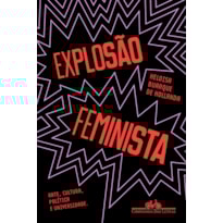 EXPLOSÃO FEMINISTA: ARTE, CULTURA, POLÍTICA E UNIVERSIDADE