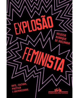 Explosão feminista: arte, cultura, política e universidade