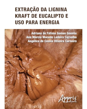EXTRAÇÃO DA LIGNINA KRAFT DE EUCALIPTO E USO PARA ENERGIA