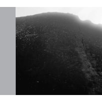 FABIO MIGUEZ: PAISAGEM ZERO