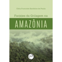 FAC(S)ES DA GRILAGEM NA AMAZÔNIA