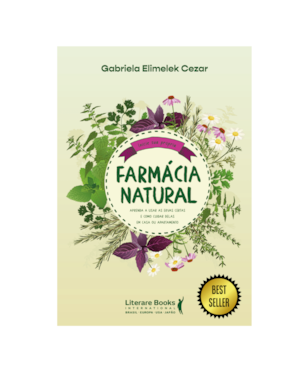Farmácia natural: aprenda a usar as ervas certas e como cuidar delas em casa ou apartamento