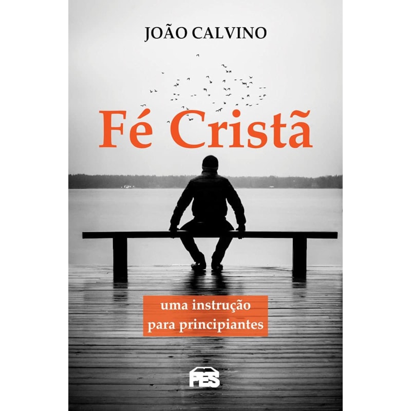 FÉ CRISTÃ - UMA INSTRUÇÃO PARA PRINCIPIANTES