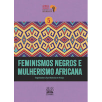 FEMINISMOS NEGROS E MULHERISMO AFRICANA