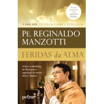 FERIDAS DA ALMA: A LUZ E A SABEDORIA DE DEUS PARA A SUPERAÇÃO DE NOSSAS DORES E LIMITES