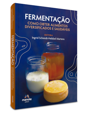 Fermentação: como obter alimentos diversificados e saudáveis