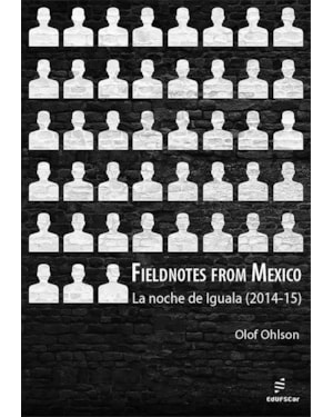 FIELDNOTES FROM MEXICO: LA NOCHE DE IGUALA (2014-15)