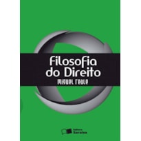 FILOSOFIA DO DIREITO - 20ª EDIÇÃO 2013