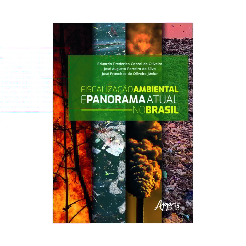 FISCALIZAÇÃO AMBIENTAL E PANORAMA ATUAL NO BRASIL