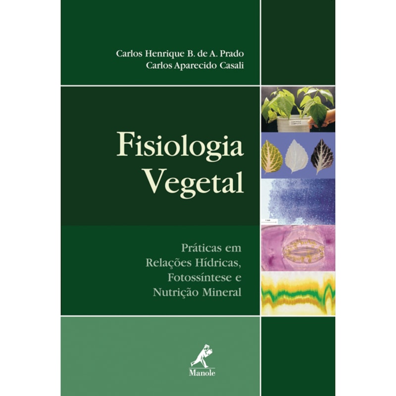 image_adea21a1-ebaa-478b-9105-533143d21cc7