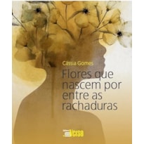 FLORES QUE NASCEM POR ENTRE AS RACHADURAS