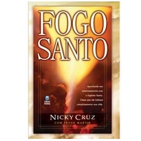 FOGO SANTO: APROFUNDE SEU RELACIONAMENTO COM O ESPÍRITO SANTO. DEIXE QUE ELE INFLAME COMPLETAMENTE SUA VIDA.
