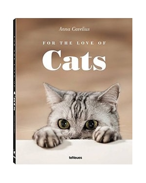 For the love of cats