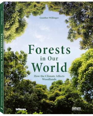 Forests in our world: how the climate affects woodlands