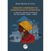 FORJANDO LIBERDADES NA ENCRUZILHADA DA ESCRAVIDÃO: AS ALFORRIAS CARTORIAIS DO TERMO DE SÃO JOÃO DEL-REI (C.1830 - C.1860)