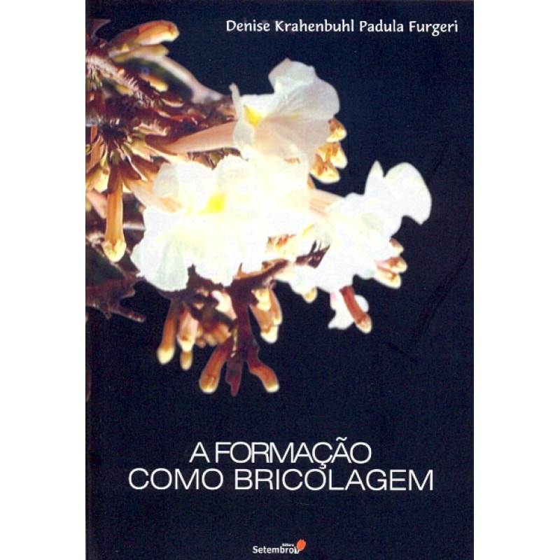 FORMACAO COMO BRICOLAGEM, A - 1