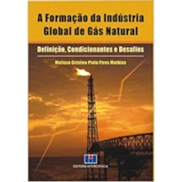 FORMACAO DA INDUSTRIA GLOBAL DE GAS NATURAL, A - DEFINICAO, CONDICIONANTES - 1