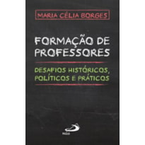 Formação de professores: desafios históricos, políticos e práticos