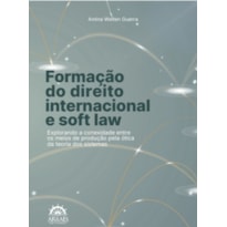 Formação do direito internacional e Soft law: Explorando a conexidade entre os meios de produção pela ótica da teoria dos sistemas.
