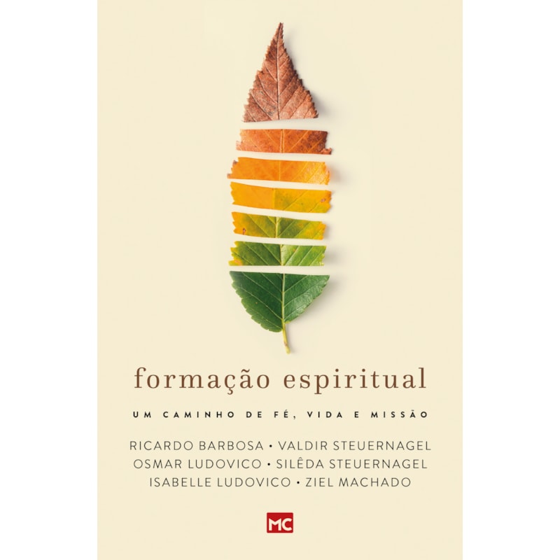 FORMAÇÃO ESPIRITUAL: UM CAMINHO DE FÉ, VIDA E MISSÃO