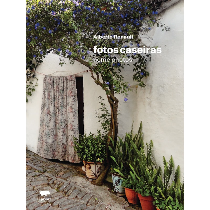 FOTOS CASEIRAS