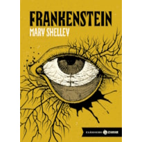 FRANKENSTEIN: EDIÇÃO BOLSO DE LUXO: OU O PROMETEU MODERNO