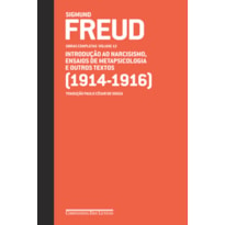 FREUD (1914-1916) - OBRAS COMPLETAS VOLUME 12: INTRODUÇÃO AO NARCISISMO, ENSAIOS DE METAPSICOLOGIA E OUTROS TEXTOS