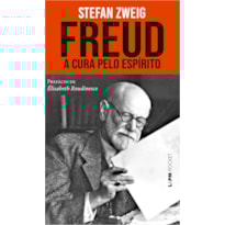 Freud: a cura pelo espírito