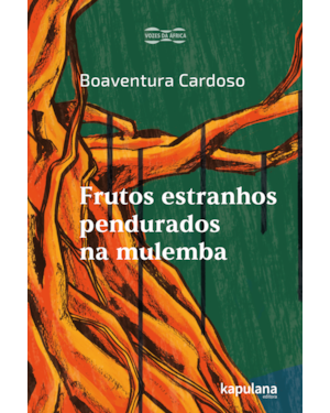 Frutos estranhos pendurados na mulemba