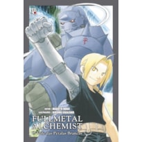 FULLMETAL ALCHEMIST - O VALE DAS PÉTALAS BRANCAS: NOVEL
