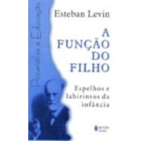 FUNÇÃO DO FILHO, A - ESPELHOS E LABIRINTOS DA INFÂNCIA