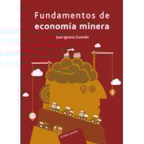 Fundamentos de economía minera