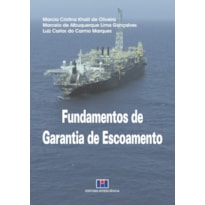Fundamentos de garantia de escoamento