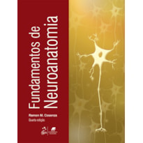 FUNDAMENTOS DE NEUROANATOMIA