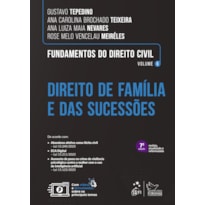 FUNDAMENTOS DO DIREITO CIVIL - DIREITO DE FAMÍLIA E DAS SUCESSÕES - VOL.6 - 7ª EDIÇÃO 2026
