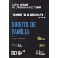 FUNDAMENTOS DO DIREITO CIVIL - DIREITO DE FAMÍLIA - VOL. 6