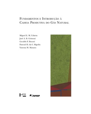 Fundamentos e introdução à cadeia produtiva do gás natural