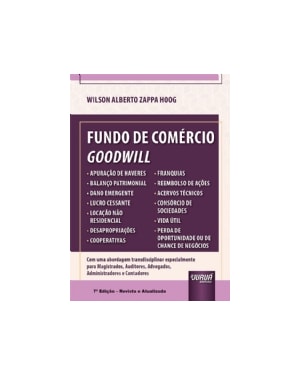 FUNDO DE COMÉRCIO GOODWILL