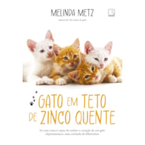 GATO EM TETO DE ZINCO QUENTE
