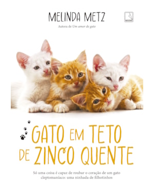 GATO EM TETO DE ZINCO QUENTE