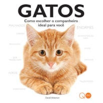 GATOS : COMO ESCOLHER O COMPANHEIRO IDEAL PARA VOCÊ