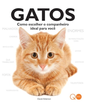 GATOS : COMO ESCOLHER O COMPANHEIRO IDEAL PARA VOCÊ