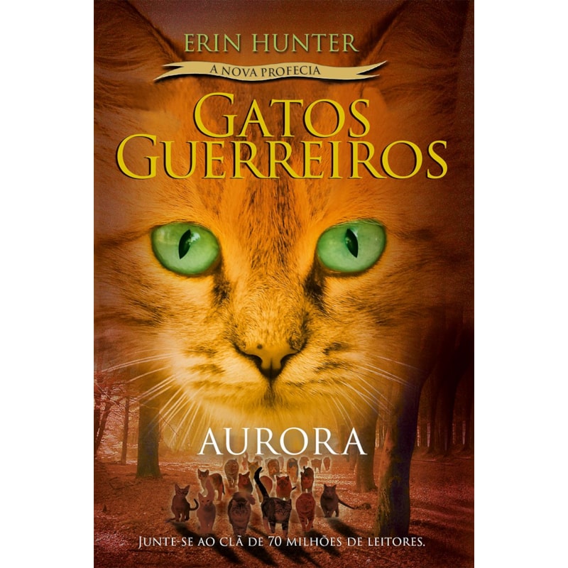 GATOS GUERREIROS (A NOVA PROFECIA) - AURORA