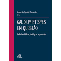 GAUDIUM ET SPES EM QUESTÃO: REFLEXÕES BÍBLICAS, TEOLÓGICAS E PASTORAIS