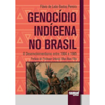 GENOCÍDIO INDÍGENA NO BRASIL - O DESENVOLVIMENTISMO ENTRE 1964 E 1985 - PREFÁCIO DO PROFESSOR ORLANDO VILLAS BÔAS FILHO