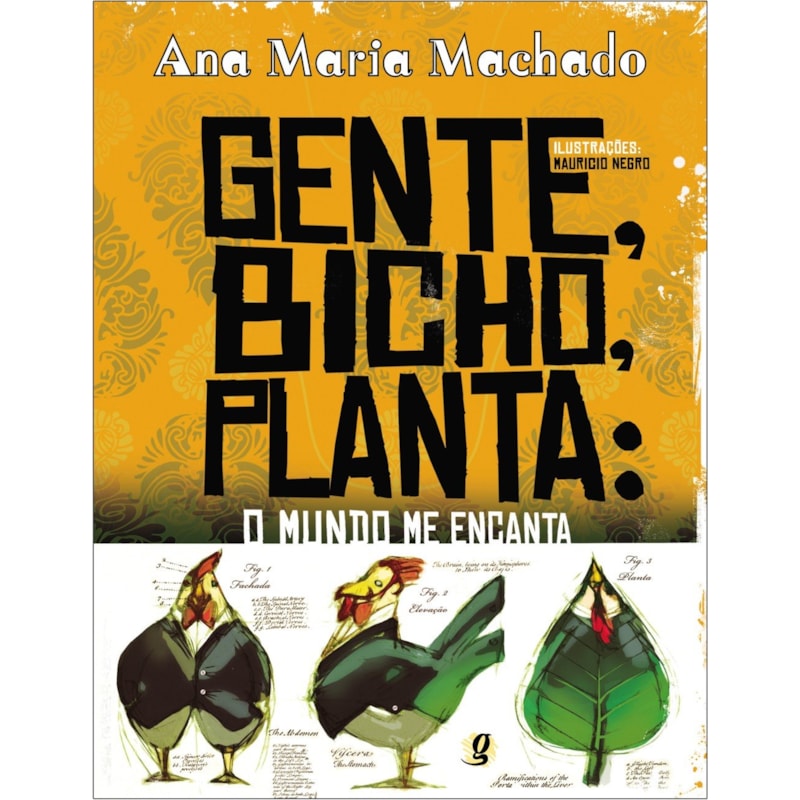 Gente, bicho, planta: o mundo me encanta