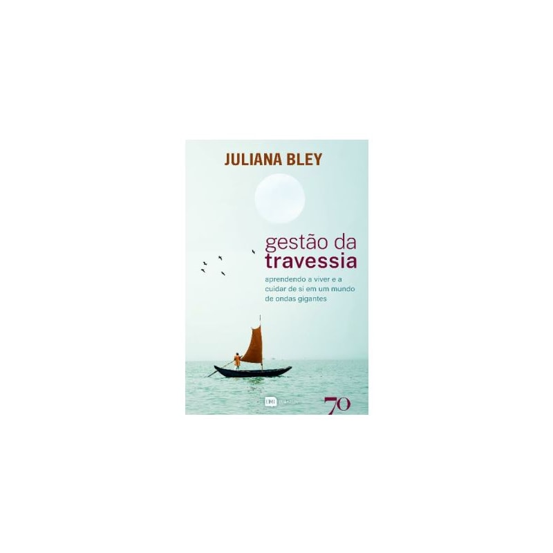 Gestão da travessia: aprendendo a viver e a cuidar de si em um mundo de ondas gigantes