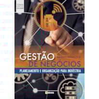 GESTÃO DE NEGÓCIOS: PLANEJAMENTO E ORGANIZAÇÃO PARA INDÚSTRIA