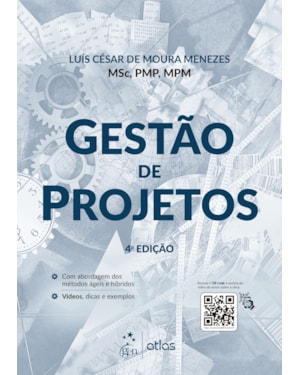 GESTÃO DE PROJETOS
