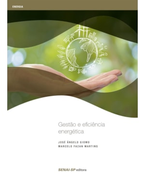 GESTÃO E EFICIÊNCIA ENERGÉTICA
